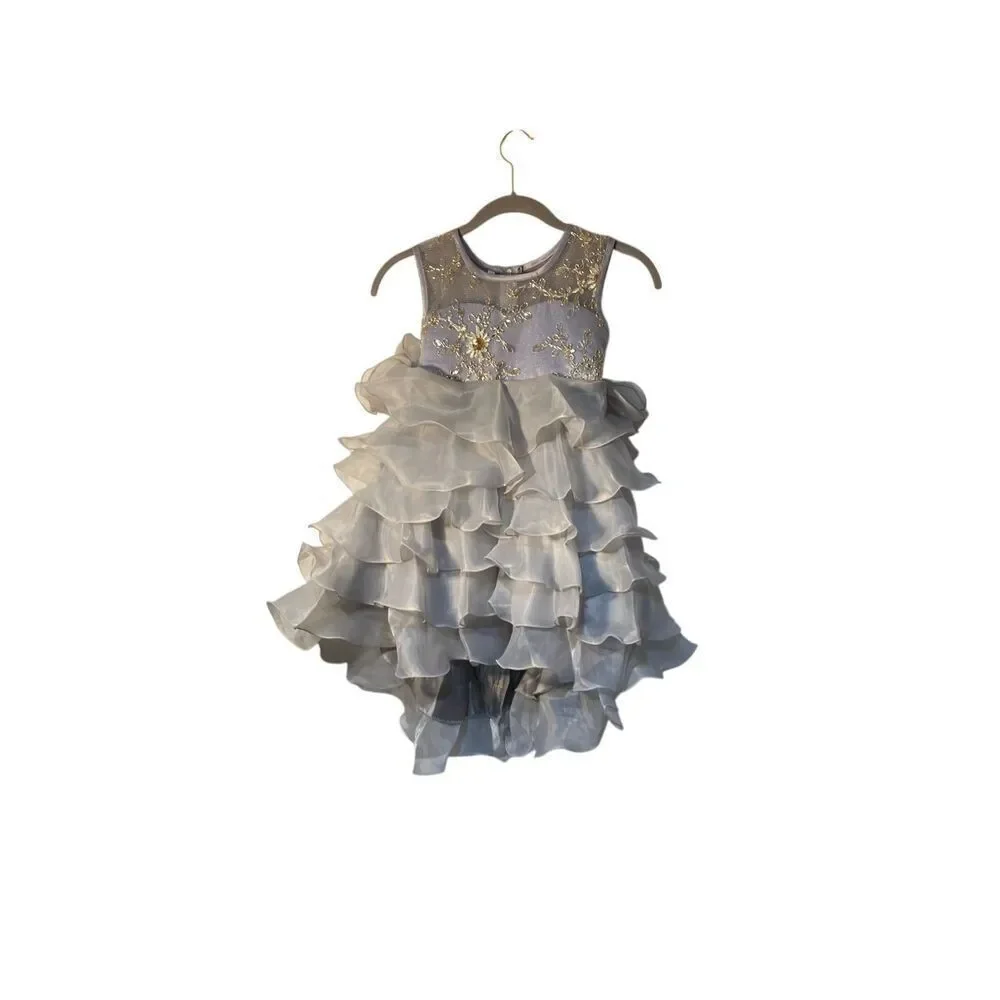 NWOT girls unbranded little princess, gray short sleeve dress with train size 4